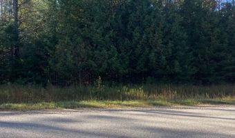 9165 Afton Rd, Afton, MI 49705