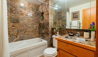809 S Aspen St 8, Aspen, CO 81611