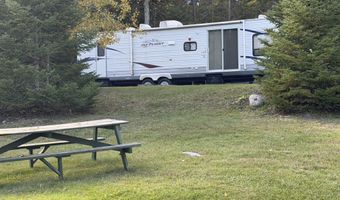 9415 Wreck Rd, Alpena, MI 49707
