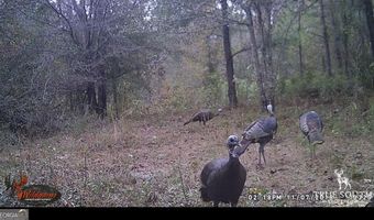 0 John S Horton, Adrian, GA 31002