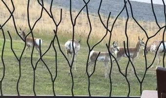 2433 Southfork Rd, Cody, WY 82414