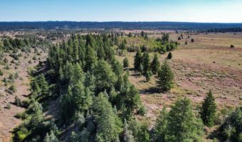 TBD Sadorus Hill Rd, Ashton, ID 83420