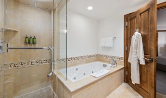 415 E Dean St # 47 Weeks 51/52, Aspen, CO 81611