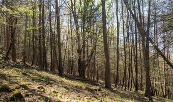 East River Road lot 5, Andes, NY 13731