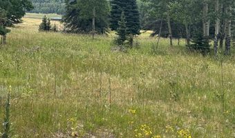 El Camino Real lot 80, Angel Fire, NM 87710