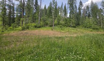 480 Dunn Peak Rd, Avery, ID 83802