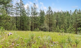 Sunset Trail, Banks, ID 83602