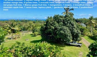 53-416 A Kamehameha Hwy, Hauula, HI 96717