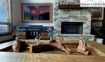 706 Silver Springs Rd, Banner Elk, NC 28604