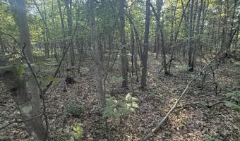 Michael Drive, Alger, MI 48610