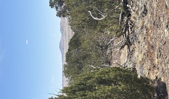 26 Spruce Dr Rd # 8051, Concho, AZ 85924