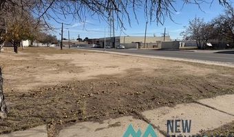 214 S Alameda St, Carlsbad, NM 88220