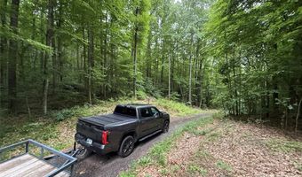 9999 Countryside Est, Barnardsville, NC 28709