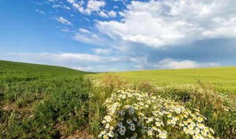 TBD E 1400 N, Ashton, ID 83420