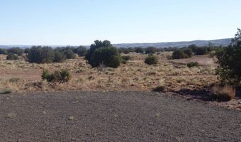 87 County Road 5311, Concho, AZ 85924