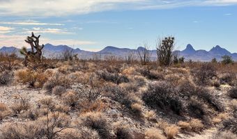 Lot 166 Lake Havasu Acres, Yucca, AZ 86438