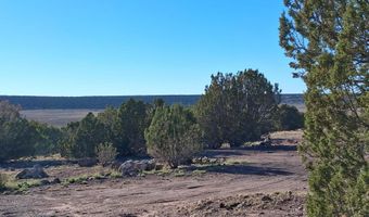 68 N 8171, Concho, AZ 85924