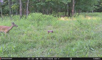 694 A Tunnel Ridge Rd, Argillite, KY 41121