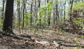 000 N Plainview, Anderson, MO 64831