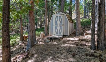 923 Bear Run Way, Arnold, CA 95223