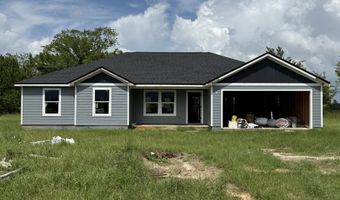 19298 Cressie Ln, Altha, FL 32421