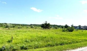 Sunset Boulevard unit 51 51, Alanson, MI 49706