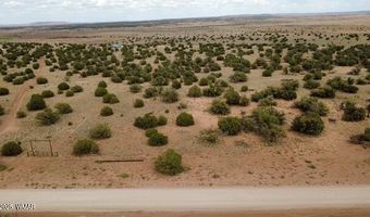 137 N5525, Concho, AZ 85924