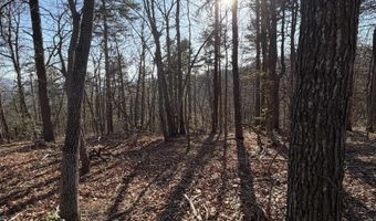 OLD STONY RIDGE RD lot 7, Afton, VA 22920