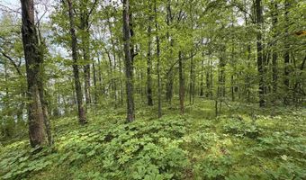 Tract 1 E Bay Road, Atkins, AR 72823