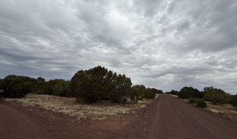 149 County Rd 8057, Concho, AZ 85924