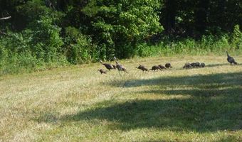 1576 Sheltontown Rd, Albany, KY 42602