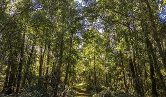 State Rd 121, Alachua, FL 32615