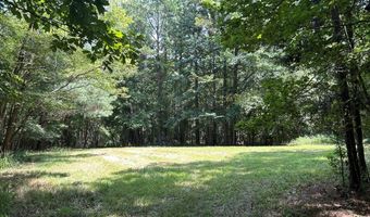 Pleasant Hill Road, Ashland, MS 38603