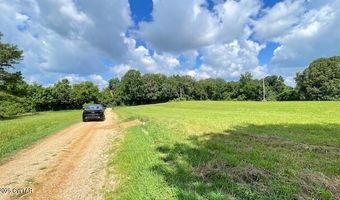 3945 Old Trezevant Rd, Atwood, TN 38220