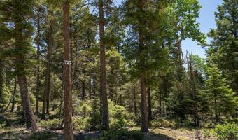 97 Zia Rd, Angel Fire, NM 87710