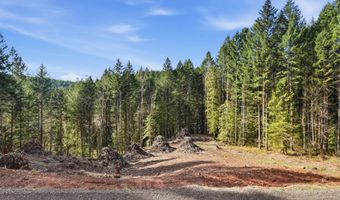 NW Green Mountain Rd, Banks, OR 97106