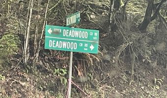 UPPER DEADWOOD CREEK RD #105, Deadwood, OR 97430