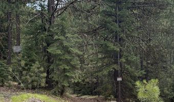 BLACK MTN SKYLINE, Baker City, OR 97814