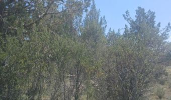 Toddy Drive Lots 18,19,&20, Beatty, OR 97621