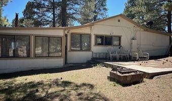 10 County Road 2117, Alpine, AZ 85920