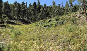 1435 Clarke Mountain Ln, Antonito, CO 81120