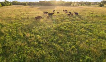 1015 Ottawa Rd, Bartlett, KS 67332