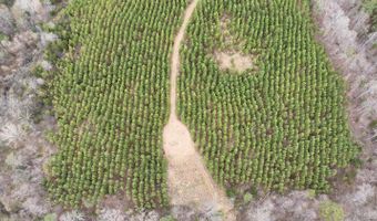 Old Courthouse Road, Appomattox, VA 24522