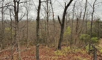 Lot 42 Lookout DR, Bella Vista, AR 72714