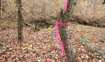 RIDGE RD lot 1, Arvonia, VA 23004