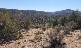 Lot 1 Big View, Ash Fork, AZ 86320