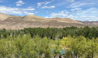 190 Meadow Rd, Challis, ID 83226