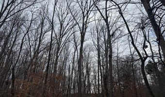 HARDWARE RD lot 1, Arvonia, VA 23004
