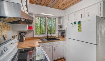 10046 Rogers Rd, Alanson, MI 49706