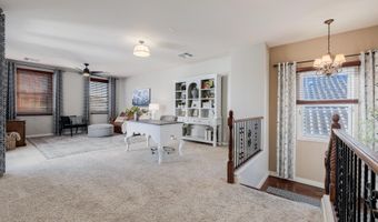 846 E MEAD Dr, Chandler, AZ 85249